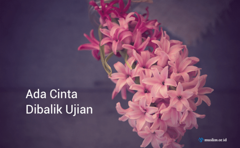 Jika Allah Mencintai Seorang Hamba, Ia Akan Diuji