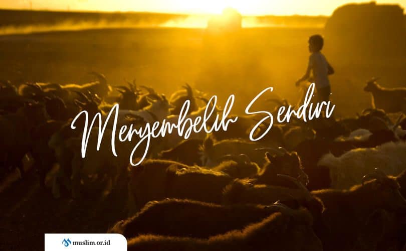 Anjuran Menyembelih dengan Tangan Sendiri Hewan Qurbannya