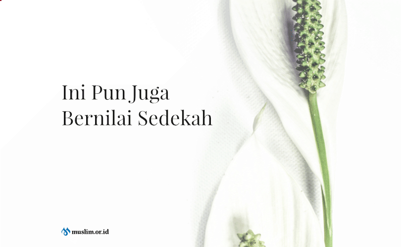 Berhubungan Badan Suami-Istri Itu Sedekah