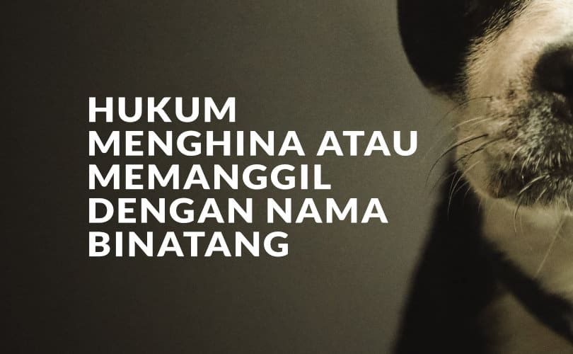 Hukum Menghina atau Memanggil Orang Lain dengan Nama Binatang