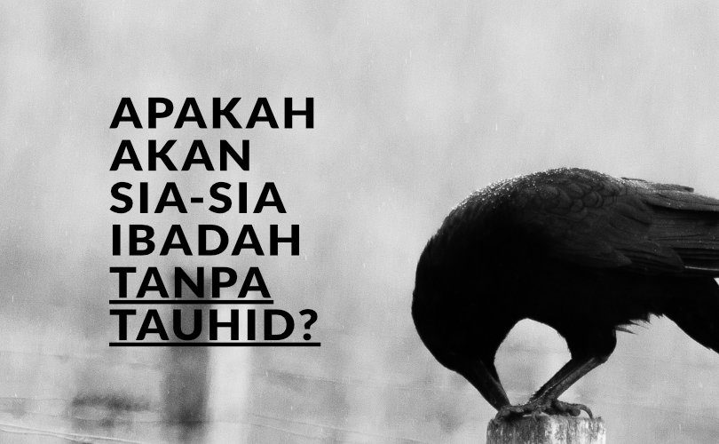 Apakah Akan Sia-Sia Ibadah Tanpa Tauhid?