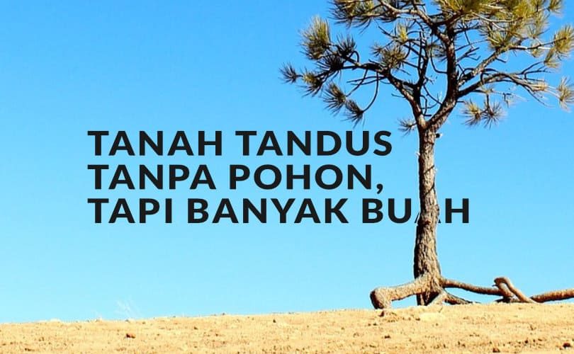 Tanah Tandus Tanpa Pohon, tapi Banyak Buah