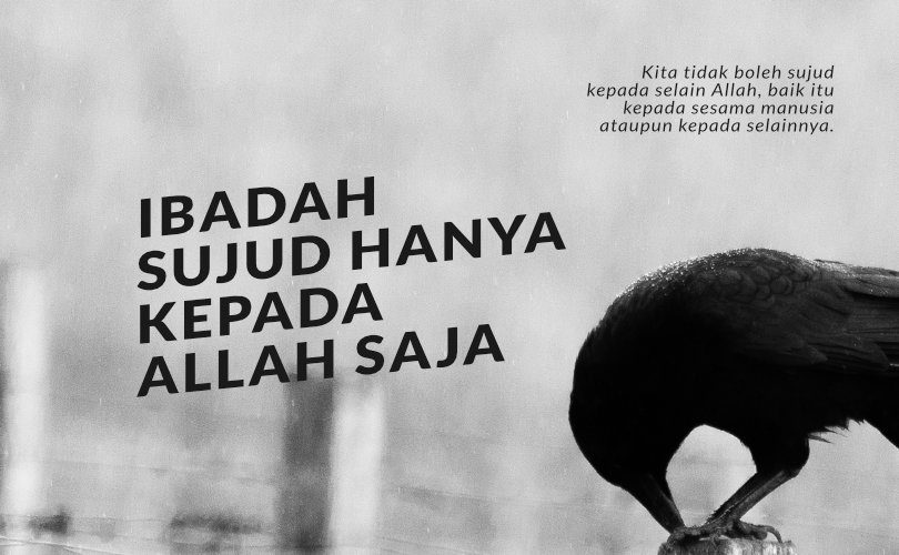 Tidak Boleh Sujud Kepada Manusia dan Selain Manusia