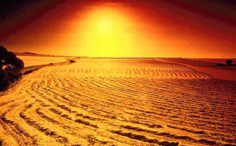 Ketabahan Rasulullah Shallallahu’alaihi Wasallam