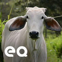 Balasan Infak Berlipat Ganda