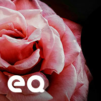 Buah-Buah Pun Dijadikan Berpasang-Pasangan